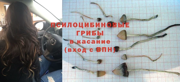 Альфа ПВП Болхов