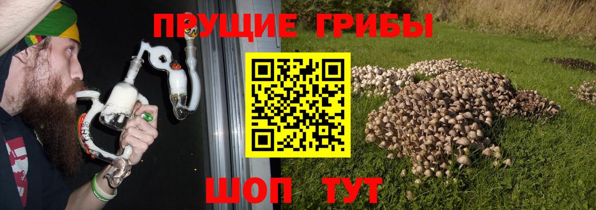 Кушва  Галлюциногенные грибы Psilocybe  Псилоцибиновые грибы Cubensis  Вход с VPN 